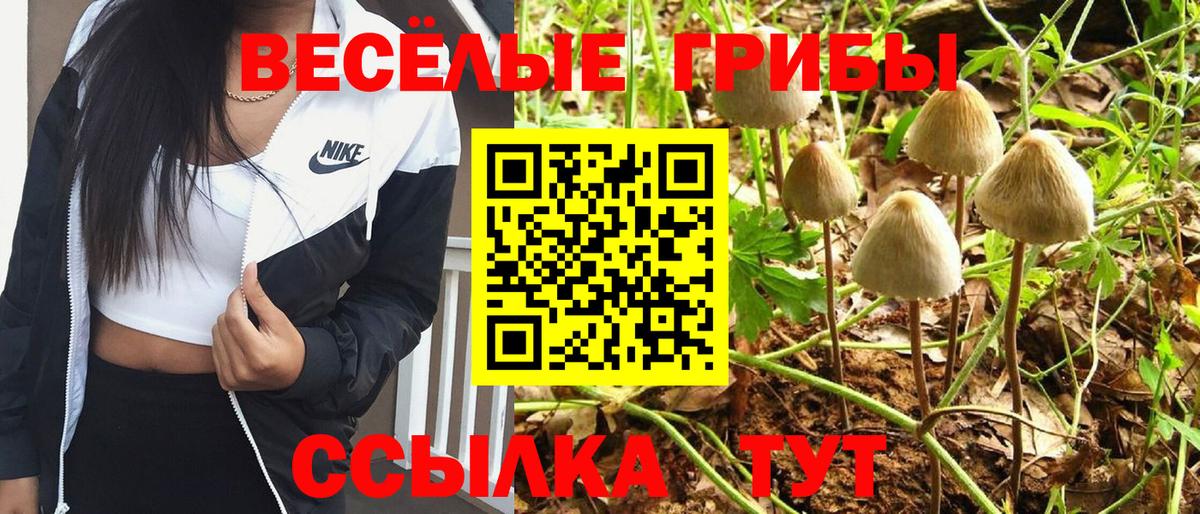 где купить   Вход с VPN  Ростов Великий  Галлюциногенные грибы GOLDEN TEACHER 